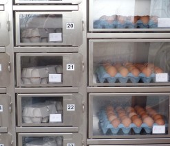 Vending Machine Demonstration – Potters Poultry, 10th August 2015